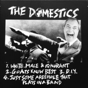 Domestics/Volunteers split 7"